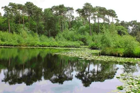 Landgoed de Rosep foto 41