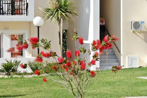 Appartementen Sunset Suites foto 7