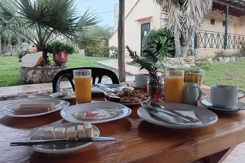 Olive House in Δημοτική Ενότητα Κασσωπαίων — foto 3