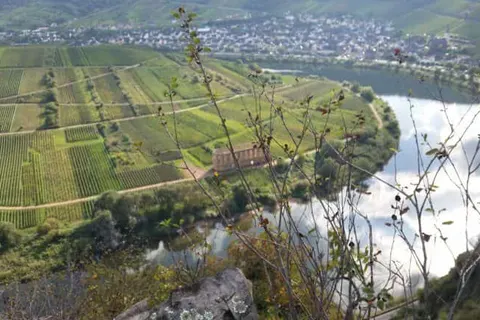 Hotel Restaurant Weinhaus Berg foto 20