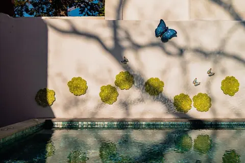 Jardim Da Lapa by Shiadu in Lissabon, foto 4
