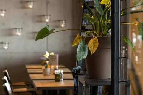 Strandhotel Golfzang foto 15