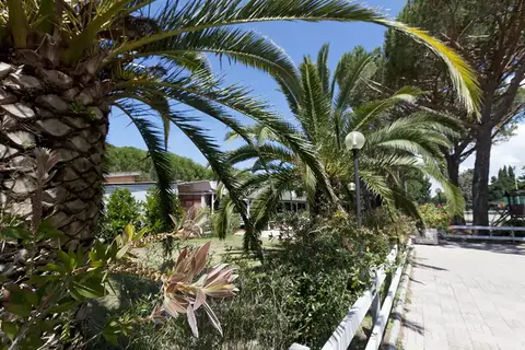 Village Oasi in Orbetello — foto 13