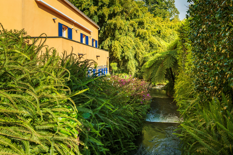 Appartementen Quinta da Mo foto 17