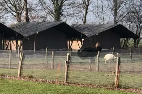 Vodatent Camping de Waterbuffelfarm in Oldemarkt — foto 13