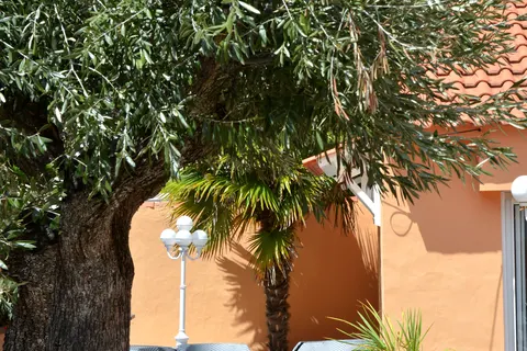 Camping L Abri Des Pins foto 11