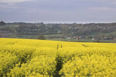 Merici Hotel Sittard foto 24