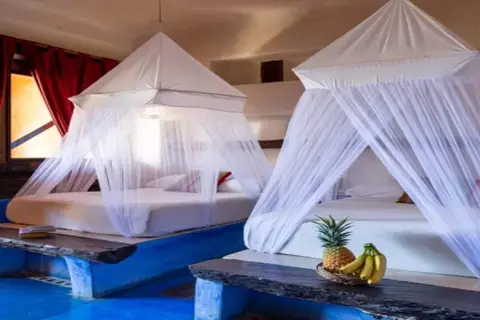 La Posada del Sol in Caleta de Campos, foto 6