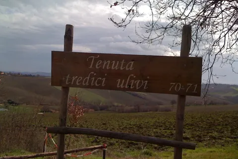 Camping Tenuta Tredici Ulivi foto 10