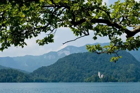 Hotel Kompas in Bled — foto 11