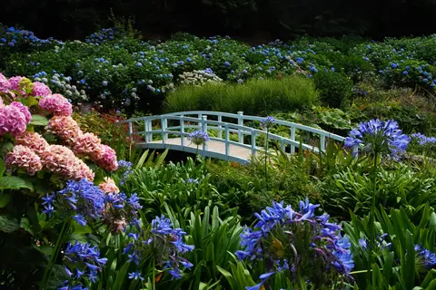 Ontdek Devon en Cornwall in Zuid-Engeland, Devon en Cornwall — foto 14