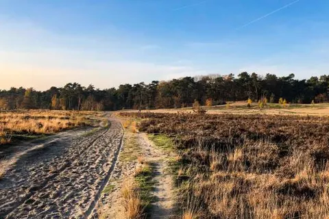 Mercure Hotel Tilburg Centrum foto 21