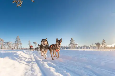 Stoten Ski Hotel in Malung-Sälens kommun, foto 5