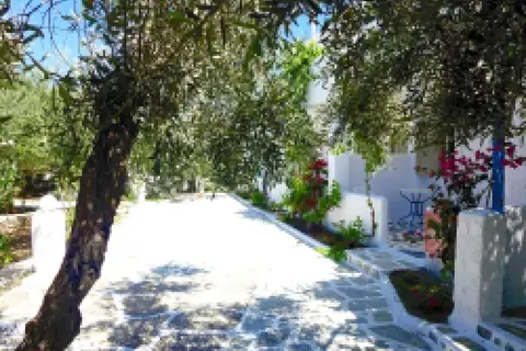 Amaryllis Paros Beach Hotel in Paros — foto 7