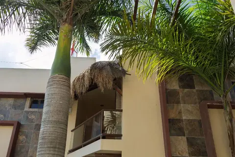 Macondo Raíz Holbox in Holbox, foto 14
