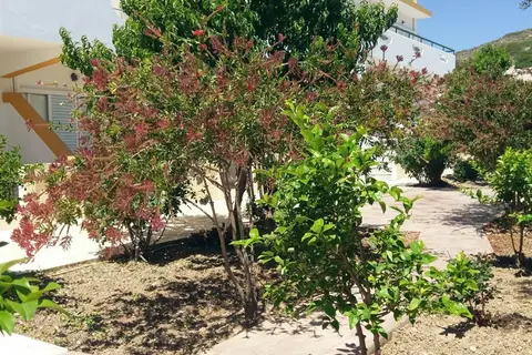 Eleni Hotel in Αντιμάχεια — foto 11