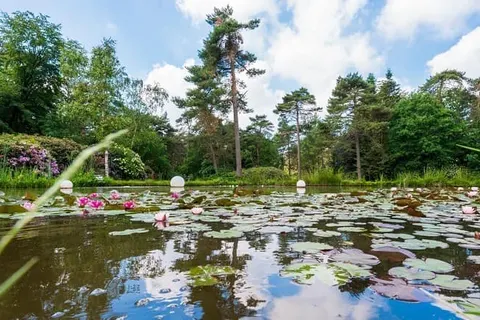 Hotel Woudschoten foto 4