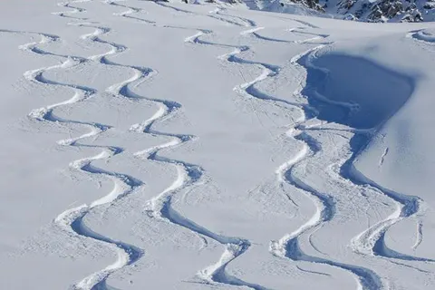 Hotel Alpina Parpan foto 22