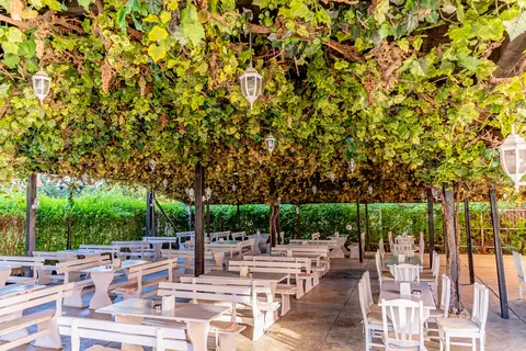 Hotel Izola Paradise in Несебър — foto 6