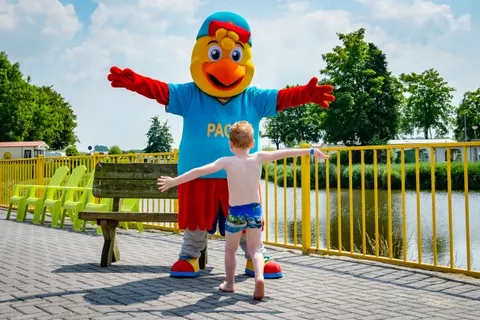 Camping De Vogel foto 6