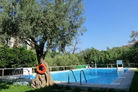 Amfitriti in Μόλυβος — foto 24