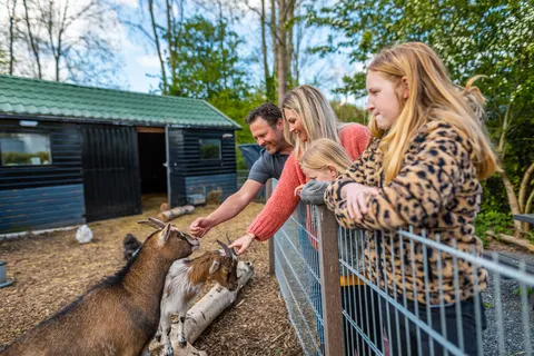 Vakantiepark Spaarnwoude foto 33