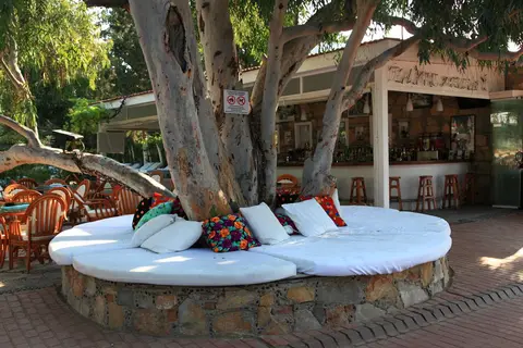 Okaliptus in Bodrum, foto 11