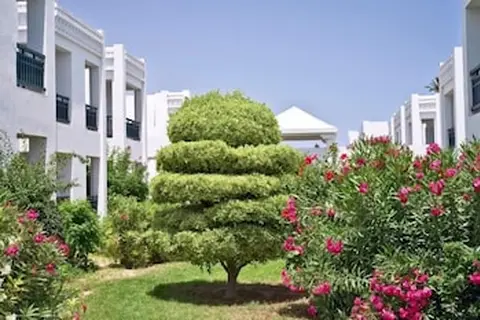 Calimera El Borj Mahdia in Mahdia — foto 30