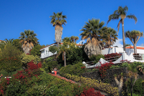 Bungalows Palma Jardin foto 13