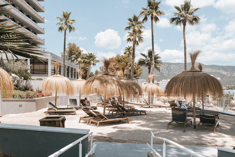 Cook's Club Calvia Beach - adults only foto 26