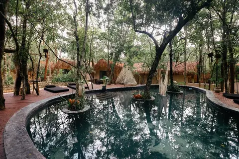 The Yellow Nest in Manuel Antonio Ay, foto 16