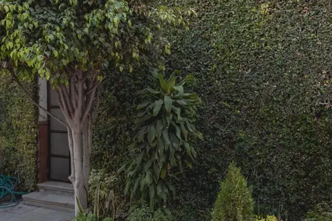 Casa Eva Hotel Boutique & Spa in Puebla — foto 21