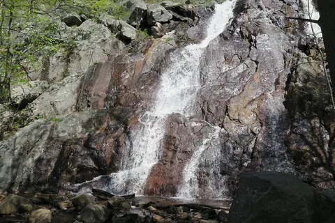 Eastern Lodges and Resorts foto 15