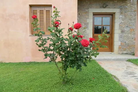 Liotrivi Historical Mansion & Boutique Hotel in Monemvasia, foto 11
