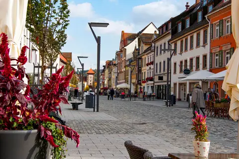Alpirsbach in het Zwarte Woud in Alpirsbach — foto 15