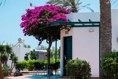 HL Club Playa Blanca Hotel in Yaiza — foto 20