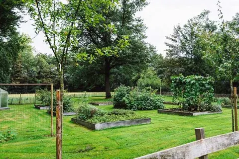 Hotel en Restaurant Wesseling foto 28