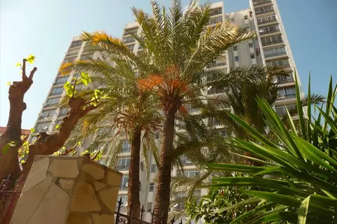 Moby Dick in Benidorm — foto 2