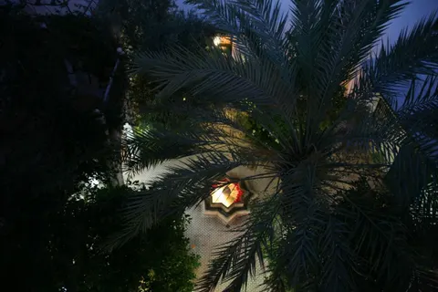 Riad Ifoulki foto 14