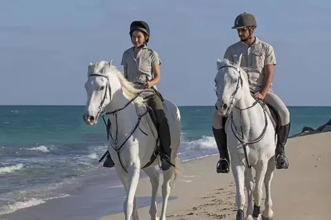 Anantara Sir Bani Yas Island Al Yamm Villa Resort in صير بني ياس — foto 5