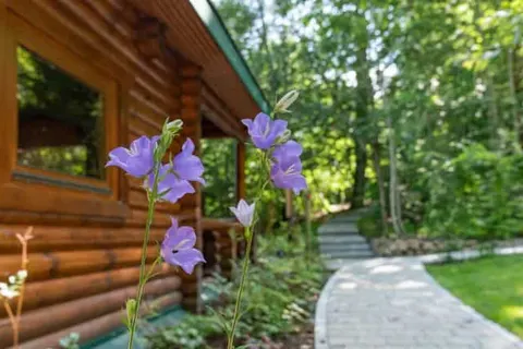 Robenstein Aktivhotel & SPA foto 25