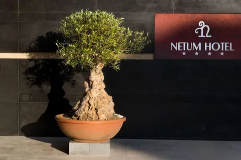 Netum Hotel in Noto — foto 7
