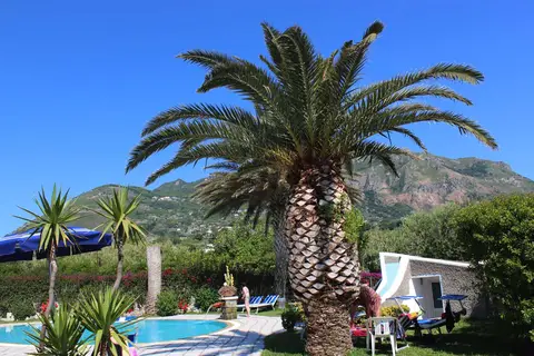 Hotel Ideal in Forio — foto 4