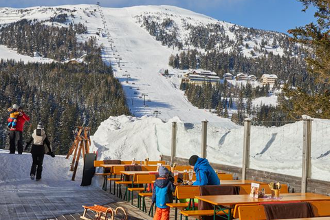 Aparthotel Das Alpenhaus foto 12