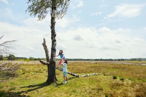 Center Parcs De Kempervennen foto 26