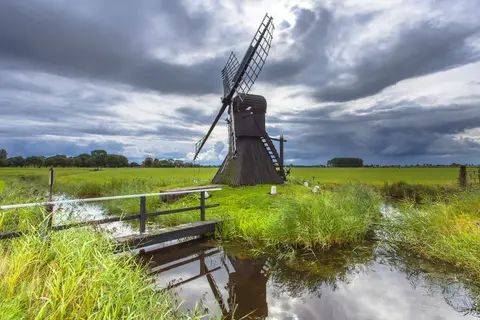 Lentekriebels in Westerveld, foto 12