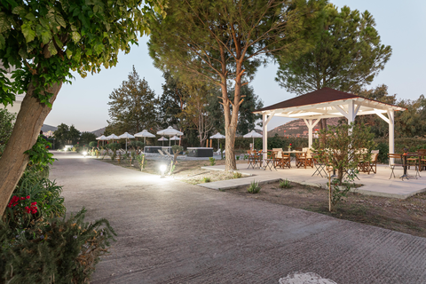 Naftilos Rosmarinus foto 18