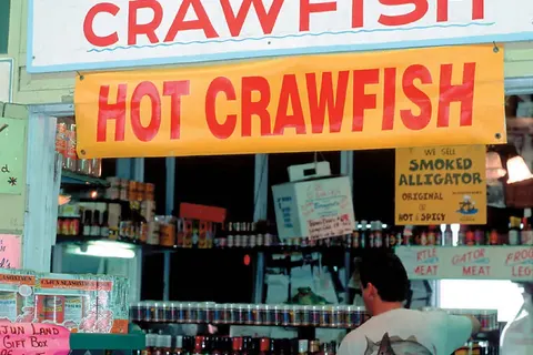 Zuidelijk Amerika op het gemak foto 14