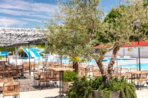 Camping Château De Galaure foto 17