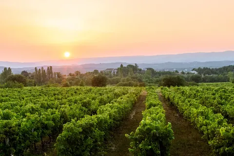 Ontdek de Ardèche vanuit Grospierres foto 16